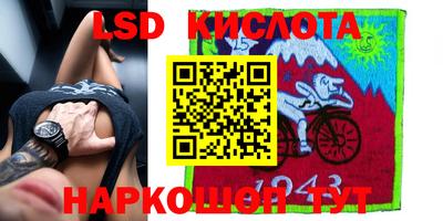 индика Боровичи