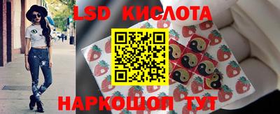 индика Боровичи
