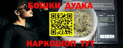 индика Боровичи