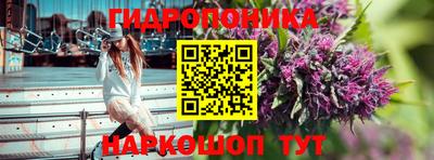 индика Боровичи