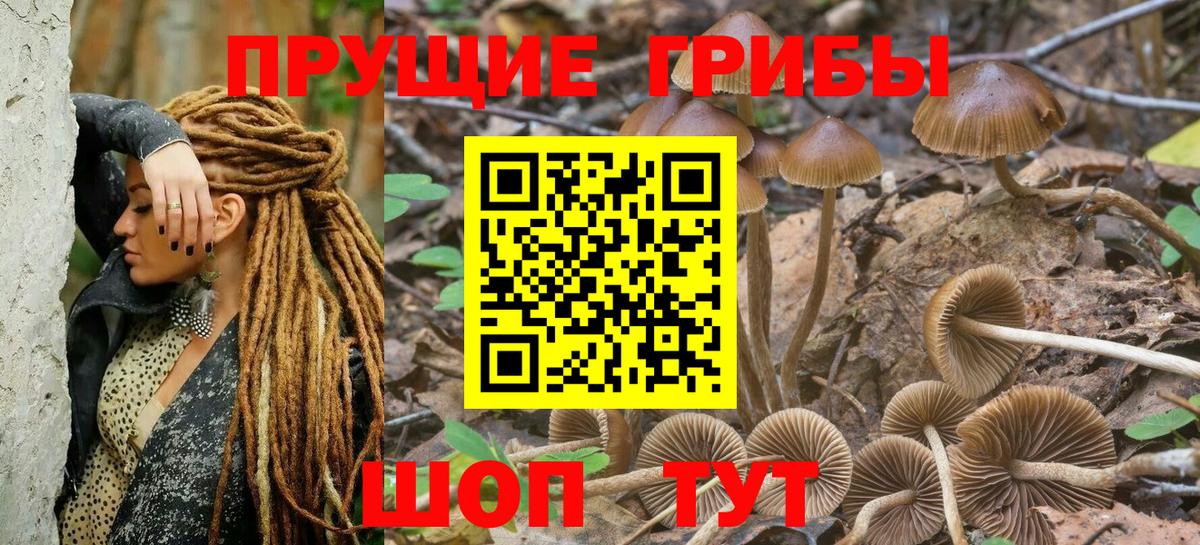 Галлюциногенные грибы MAGIC MUSHROOMS  Вход с VPN  Псилоцибиновые грибы Magic Shrooms  Нефтеюганск 